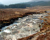 Lower reaches of Uisge Labhair - Corrour Forest